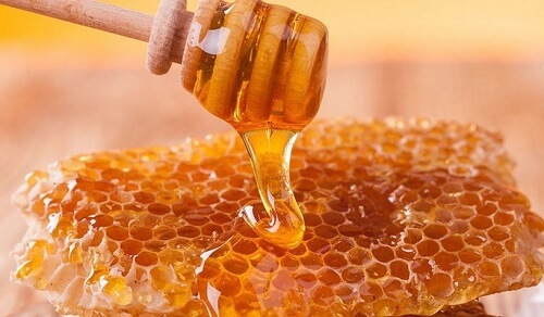 Sáp ong - Vũ khí mới chống lại bệnh Ung thư